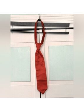 Burnt Orange Skinny Twill Tie Wedding Prom Tuxedo Pre Tied Boys Kids Youth